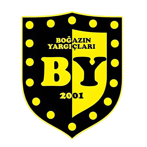 BY2001 FK